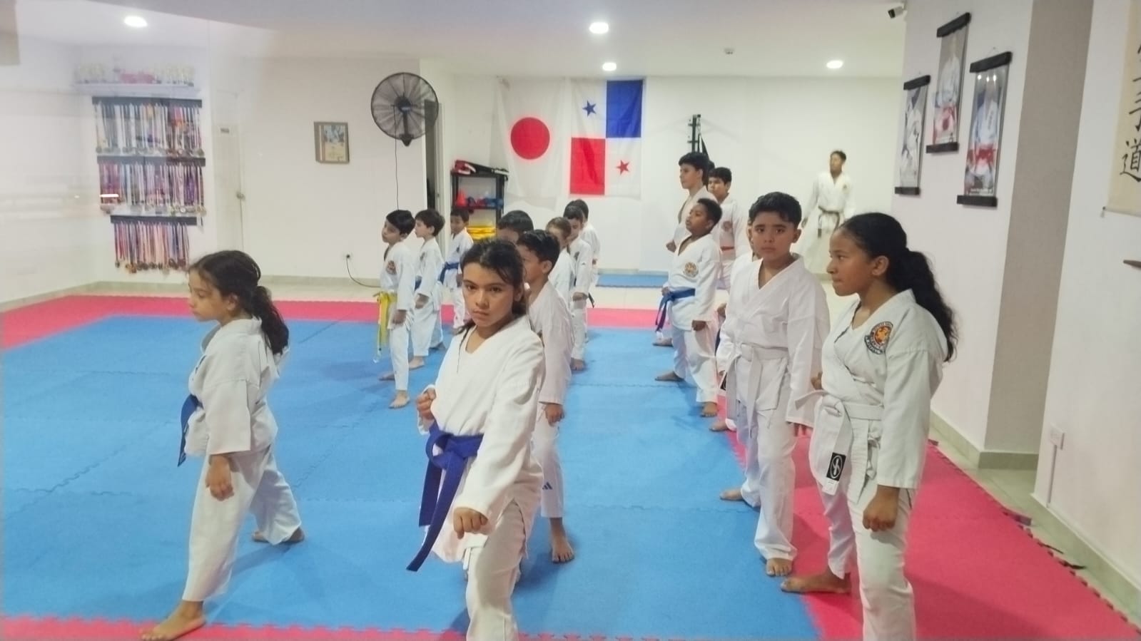 Karate juvenil y adultos